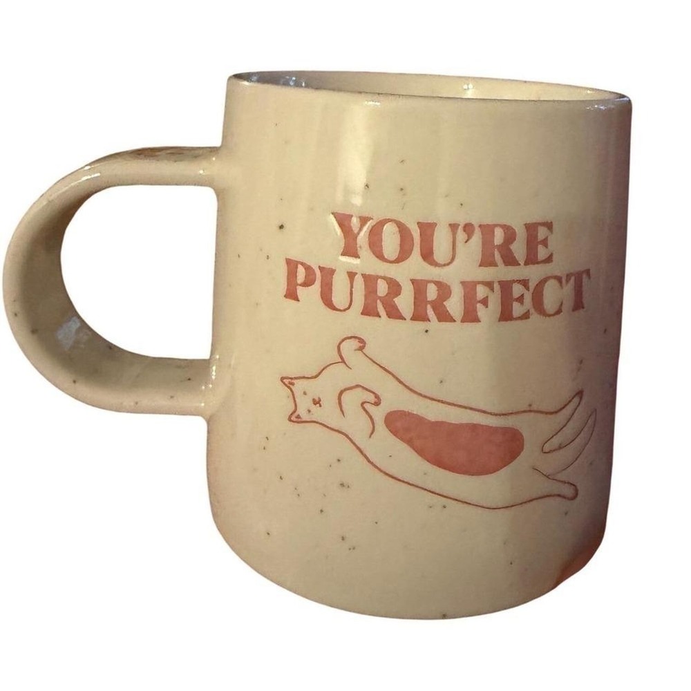 Youre Purrfect Cat Themed Room Essentials Stoneware Mug Cream Speckle New